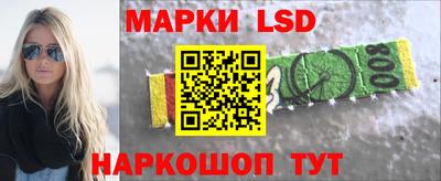 прущие грибы Пугачёв