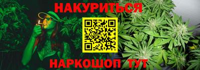 прущие грибы Пугачёв